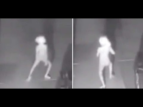Security Camera Captures Strange Elf Like Creature Paranormal News