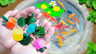 Most Amazing Catching Baby Turtles in Nest, Shrimp, Catfish, Zebrafish, Koi Fish, Ornamental Fish by Uri Fishing 12,450 views 9 days ago 45 minutes