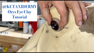 K&C Taxidermy- Step Seventeen- Oryx Eye Clay Tutorial