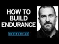 How To Build Endurance In Your Brain Body How To Build Endurance In Your Brain Body