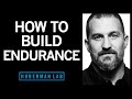 How To Build Endurance In Your Brain & Body | Huberman Lab Podcast #23