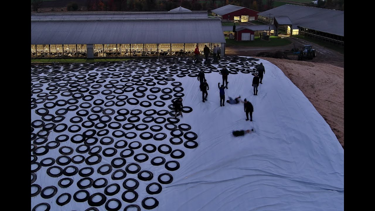 Meyer Family Dairy Silage Pile Covering 2022 YouTube