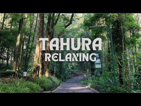 Video: Taman 