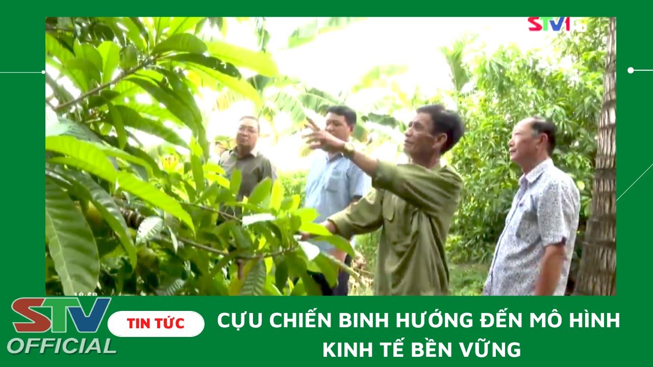 STV - Sóc Trăng: Tỷ lệ hội viên Cựu Chiến binh khá,... - youtube