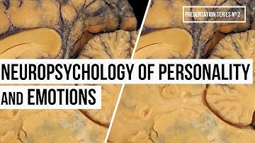 Neuropsychology of Personality and Emotion (Video Nº13, Series #2)