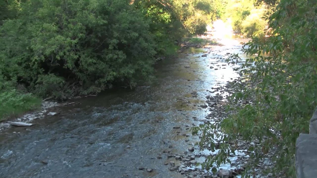 etobicoke cycling club