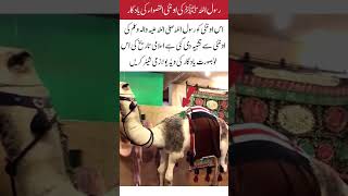 A Tribute to the Camel of Prophet Muhammad (PBUH)#islamicshorts #viralvideo #islamicvideo