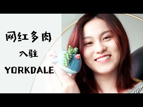 《多伦多衣食住行》第11期："网红多肉"入驻Yorkdale Nordstorm