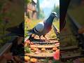 &quot;The Pigeon Who Planted Flowers on Railway Tracks🌸| A Heart-Touching Animation | Must Watch!#shorts