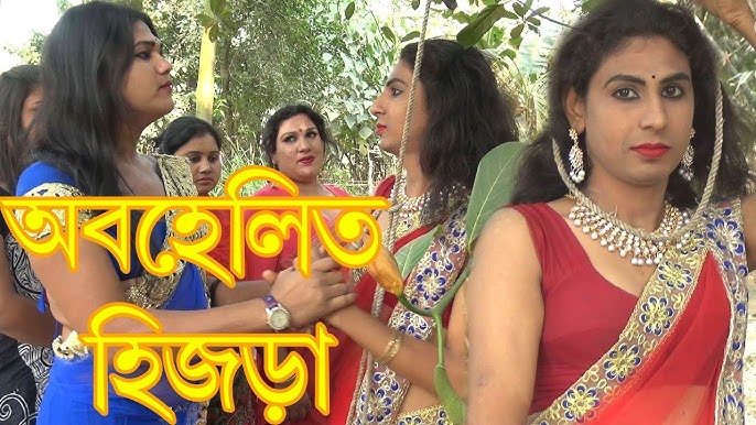 Xoroz mushuk ichida kamming