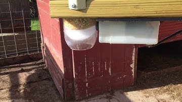 Raspberry Pi pig feeder