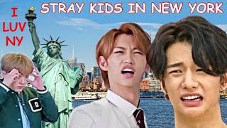 stray kids being a mess in new york