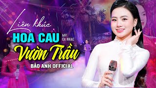 Hoa Cau Vườn Trầu - Bảo Anh Offical 🎵Liên Khúc Dân Ca Xứ Nghệ Hay Nhất | Ai Nghe Cũng Khen Hay