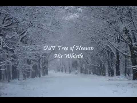 Pin by melodie szakats on trees are awesome!!! Tree of heaven - YouTube