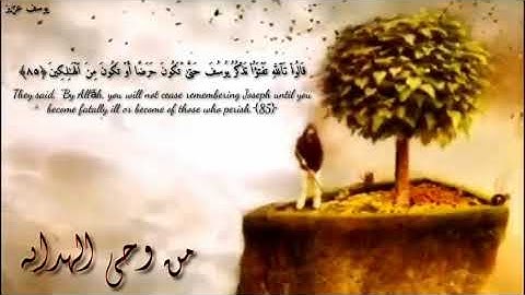 #القرآن#الكريم#ماتيسر#من#أيات#سورة#يوسف#بصوت#يوسف#عزيز..#حالات#وتس#اب#دينيه#قرأنيه