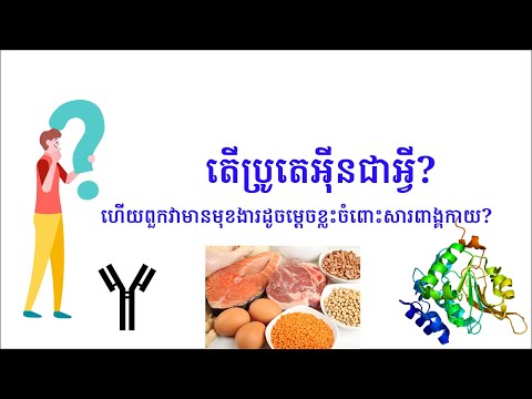 តើប្រូតេអុីនជាអ្វី?