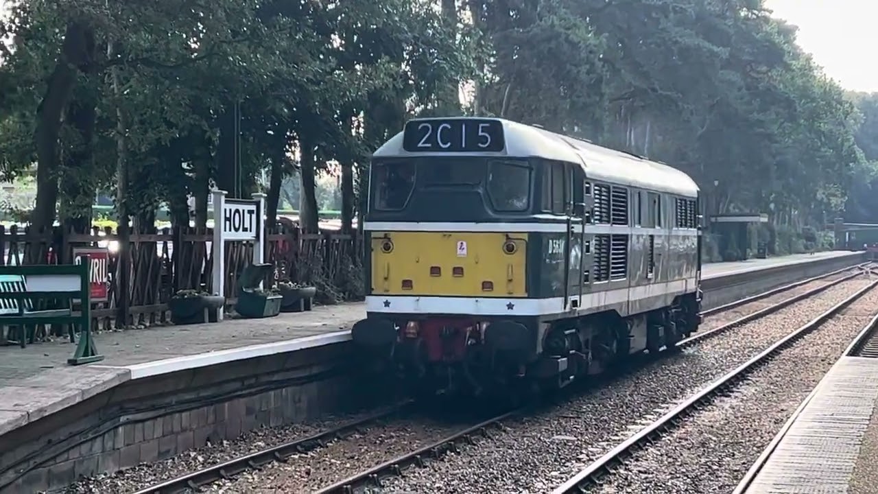 Brush type 2 at Holt 5/10/24