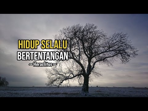 Video: Dengan prinsip saling melengkapi?