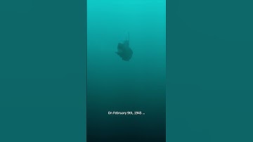 Did the Shipwreck of the U-864 Submarine Reveal a Stunning Discovery?