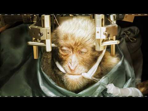 زندگی موازی مردی در سه زمان مختلف برای شکست و درمان مرگ