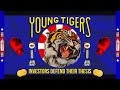 Young tigers teaser