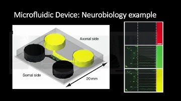 Microfluidic Devices