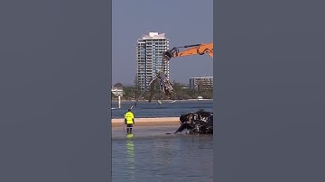 Report Into Sea World Helicopter Crash Revealed