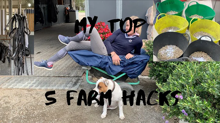 My 5 Favourite (Horse) Farm Hacks! (with bloopers!)