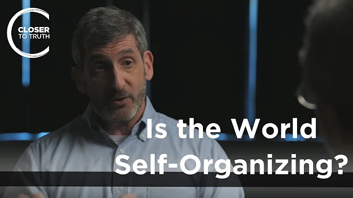 Neal Theise - Is the World Self-Organizing?