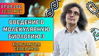 Константин Северинов. Введение в молекулярную биологию: Молчание генов.