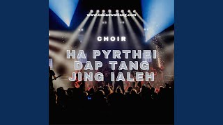 HA PYRTHEI BA DAP TANG JING IALEH