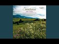 Miniature de la vidéo de la chanson Festive Symphony In E Major, Op. 6: Ii. Largo Maestose