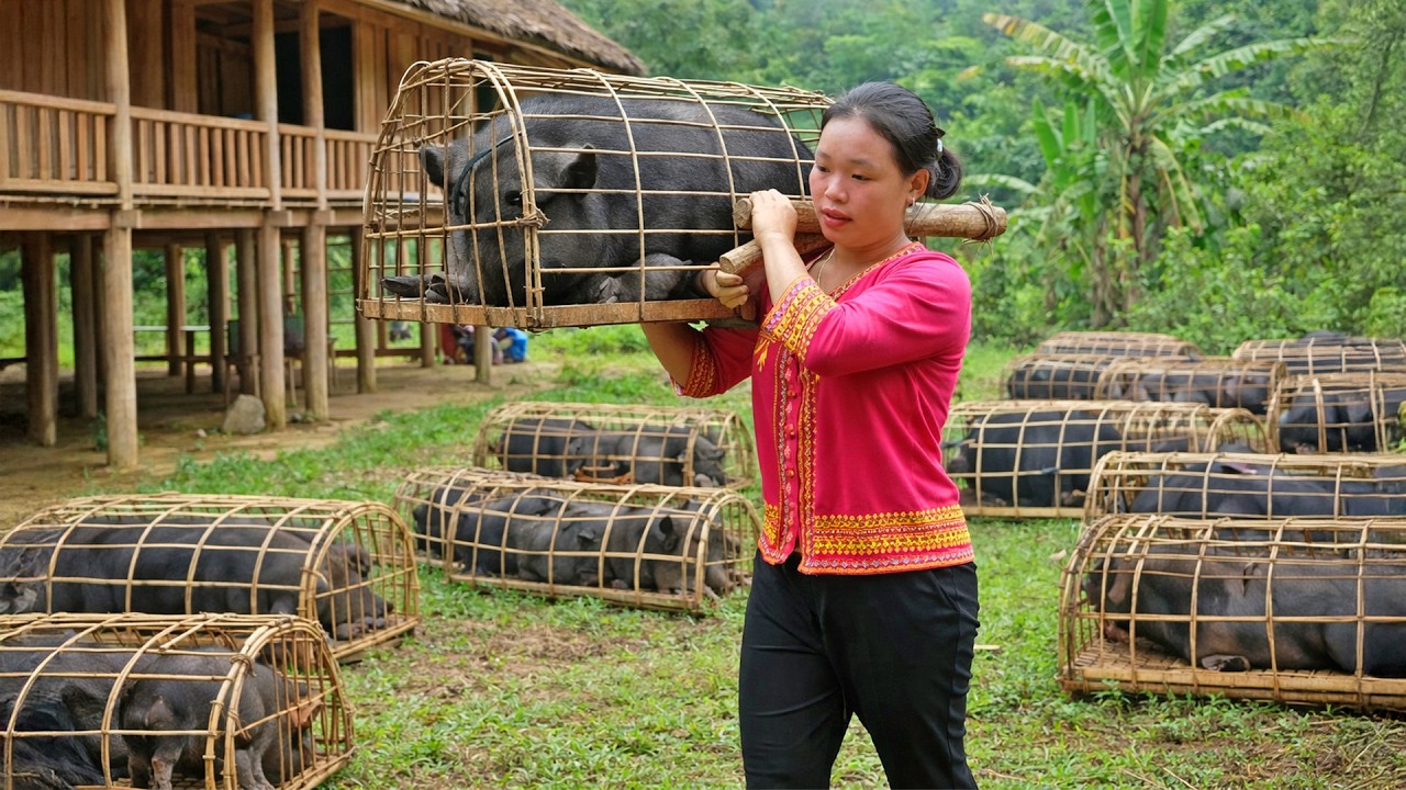 Raising Pigs for Over Two Years – Harvesting 100kg of Meat to Sell at the Market | Rural Farm Life