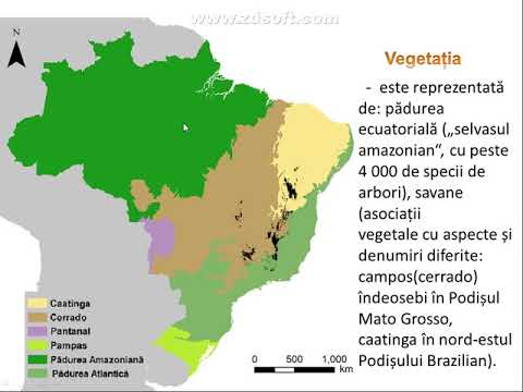 Video: Brazilia: industrie și agricultură