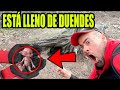 DUENDES REALES APARECE 1 DUENDE muy TRAVIESO | Laguna Negra