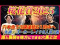 【桜花賞2025】3週連続G1的中へ4強以外から本命抜擢!雨と展開を味方につける穴馬とは