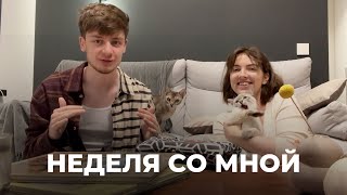 НЕДЕЛЯ СО МНОЙ: одиночество, фотосъёмки, altoids wallet и два кота