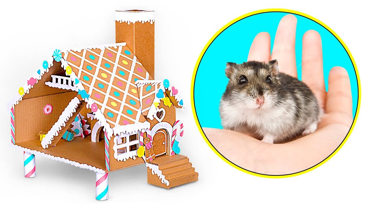 Слайм сэм лабиринт для хомяков. Hamster Craft. Arcade Hamster Home.