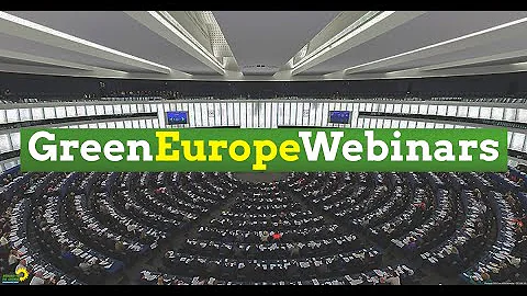 The future of Hong Kong's fight for democracy (GreenEuropeWebinars Episode 40) - DayDayNews