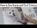 Warm and Cool Colours: How to Tell the Difference