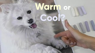 Warm And Cool Colours How To Tell The Difference