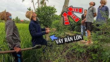 Đang lúc đào hang RẮN, Đây là tình huống NGUY HIỂM NHẤT | TGSB #1040