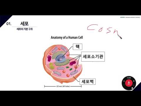 조직학 2 2