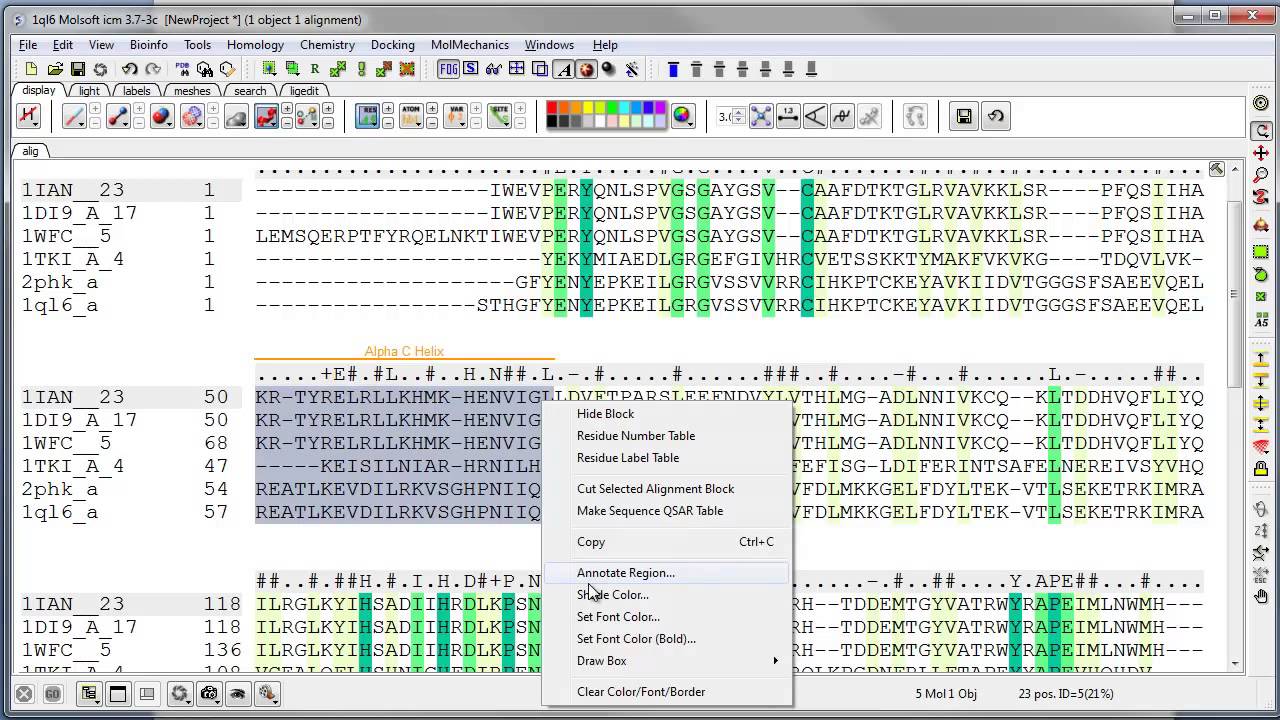 Alignment Annotation in ICM