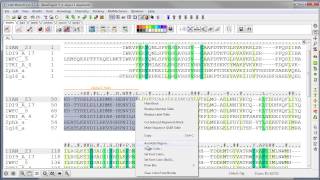 Alignment Annotation in ICM