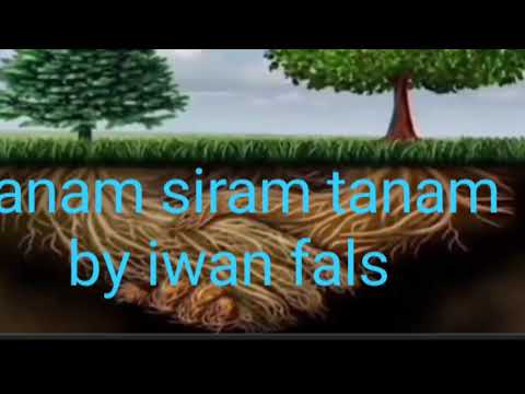 Tanam siram tanam by iwan fals