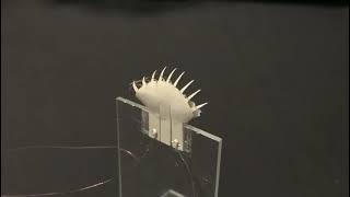 Venus flytrap based on soft thermal actuator