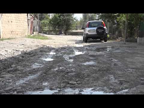 ვერხვების დასახლებაში მაცხოვრებლები დეპუტატს შეხვდნენ