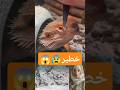انت مش لسا مصلي الجمعه من خمس اسابيع 