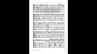 Borodin - String Quartet No. 1 (TNQ) Profile
